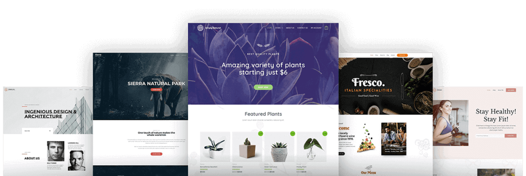 Astra Pro Addon for Astra Theme
