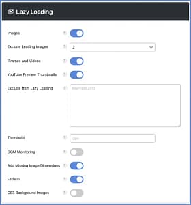 Perfmatters WordPress Performance Plugin Original License 