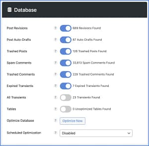 Perfmatters WordPress Performance Plugin at best Price 